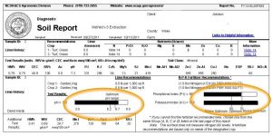 sample soil test report