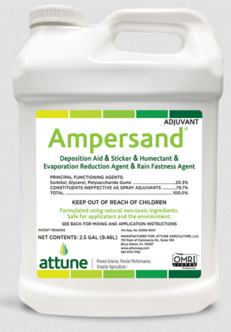 Ampersand pic